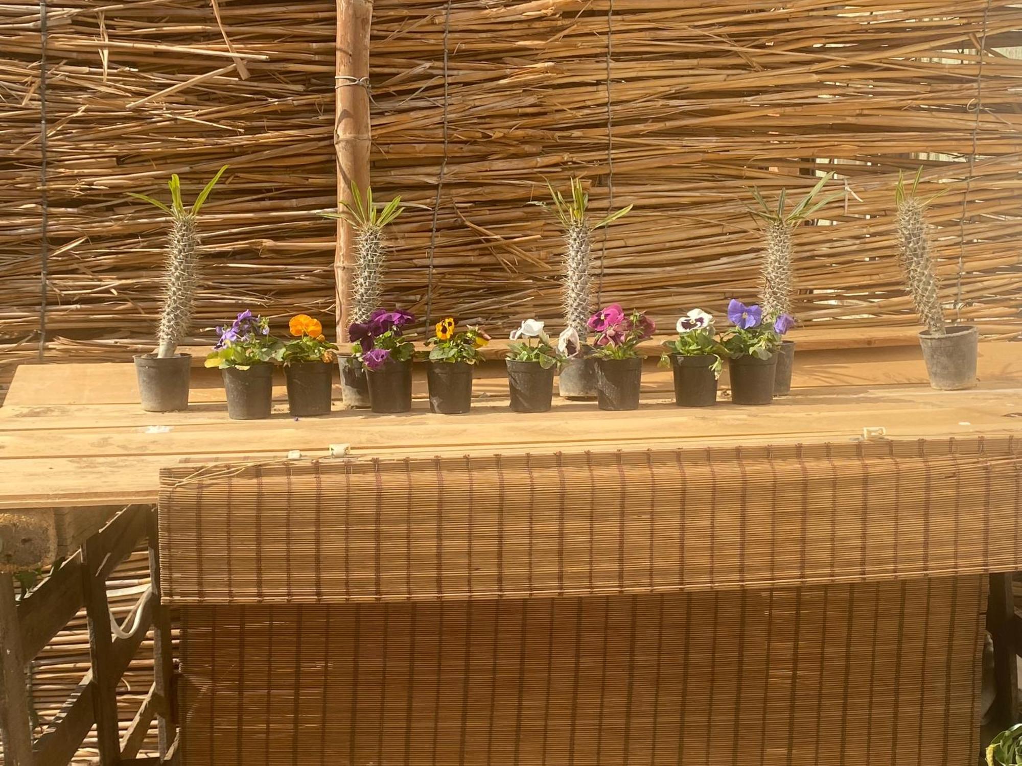 Airport Rooftop Club Luxurious Rooms And Studios Cairo Exterior foto